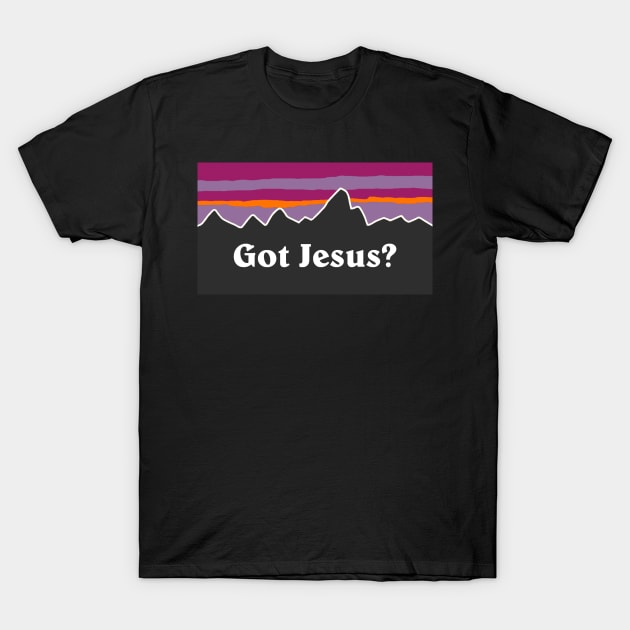 Got Jesus? T-Shirt by mansinone3